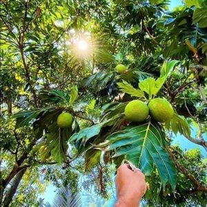 Meet your Posher, Melisa